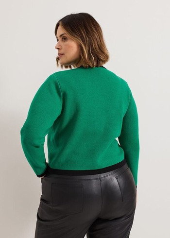 Phase Eight Tazted Knitwear Green USA | 3516498-ZN